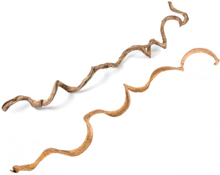 Pod Chmurką – hračka pro střední papoušky od PARROT DISASTER od ParrotPlanet.cz