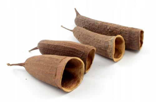 Ořechová čepička na nohu nebo DIY – pro všechny papoušky 1 kus od ParrotPlanet.cz