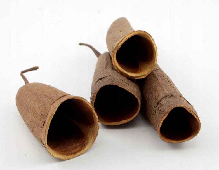 Ořechová čepička na nohu nebo DIY – pro všechny papoušky 1 kus od ParrotPlanet.cz