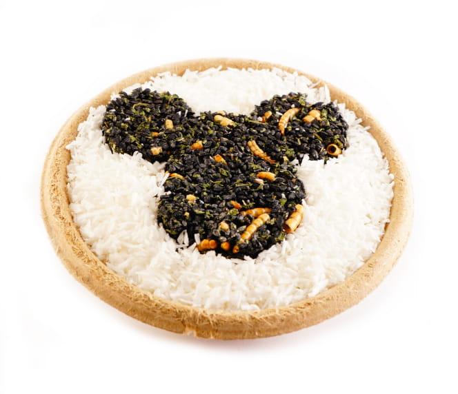 Kokosový talíř hojnosti – kokos + moučka + len + černucha – pro všechny papoušky od ParrotPlanet.cz