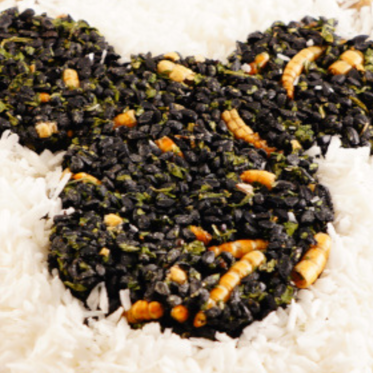 Kokosový talíř hojnosti – kokos + moučka + len + černucha – pro všechny papoušky od ParrotPlanet.cz