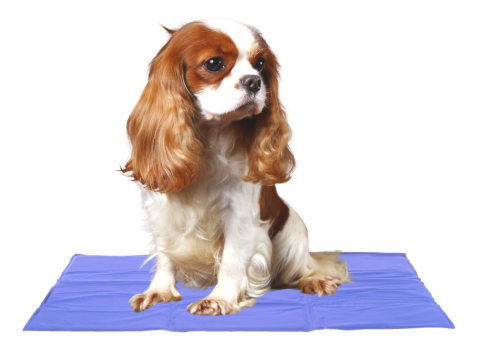 Magická chladicí podložka L 90 × 50 cm pro psy, kočky a další domácí zvířata od ParrotPlanet.cz