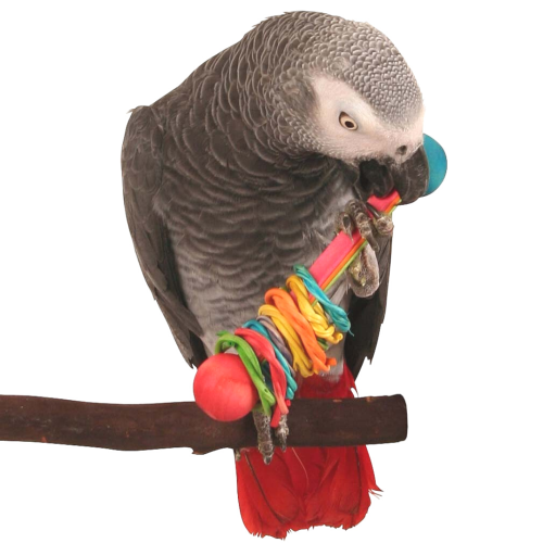 Činka 2 – hračka do tlapky pro střední a velké papoušky od ParrotPlanet.cz