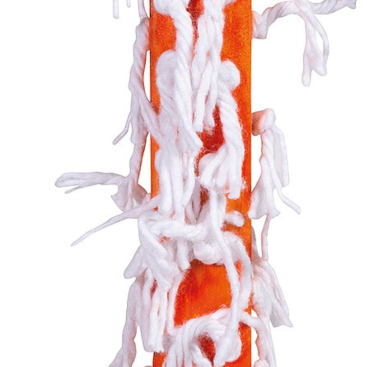 Premium Parrot Food - Ekologická divoká růže - pro všechny papoušky 50 g od ParrotPlanet.cz