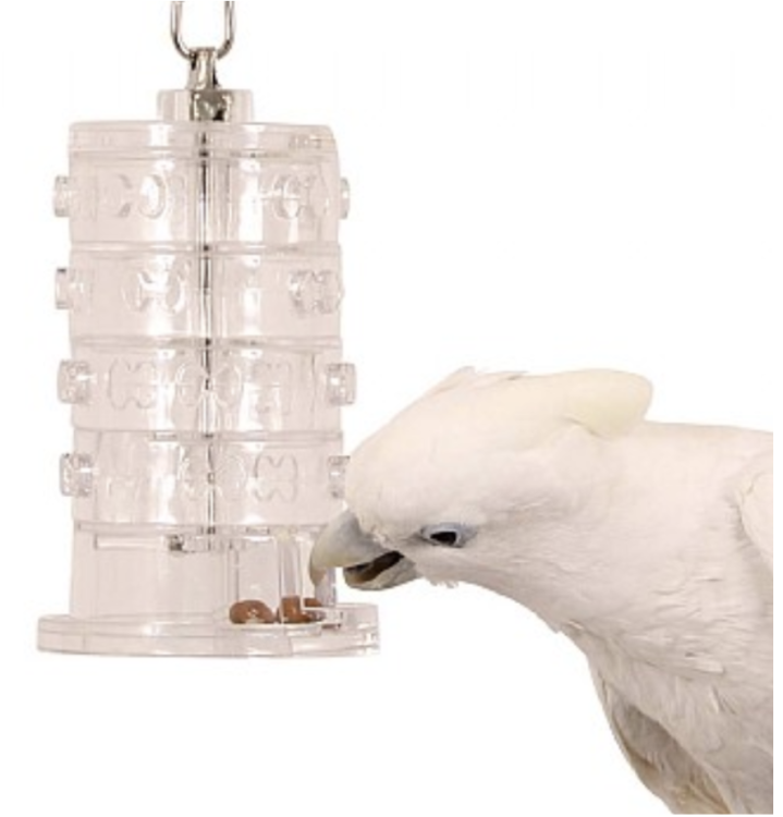 Kola štěstí – interaktivní hračka pro papoušky od ParrotPlanet.cz