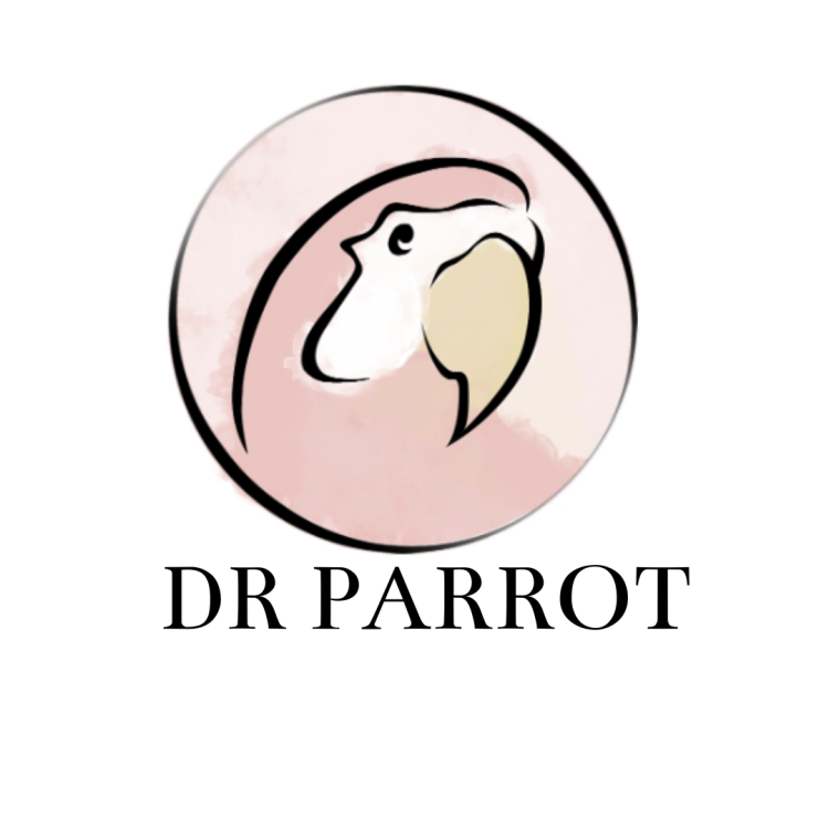 Protiskřípací límec pro papoušky velikost XL od ParrotPlanet.cz