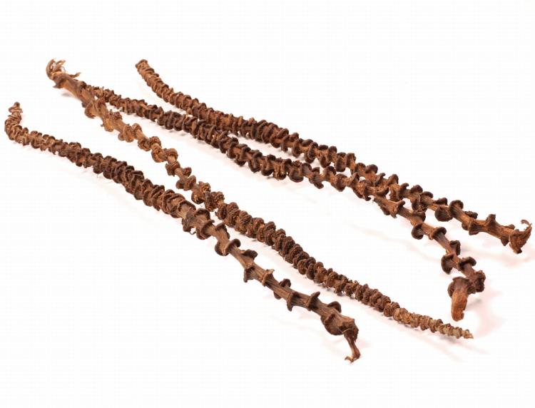 Přírodní liana z banánovníku pro všechny papoušky 35–45 cm od ParrotPlanet.cz