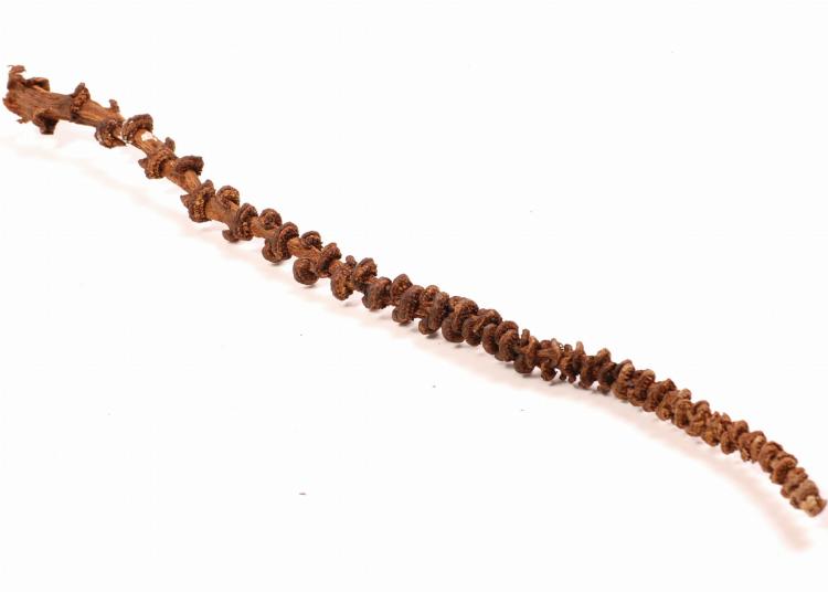 Přírodní liana z banánovníku pro všechny papoušky 35–45 cm od ParrotPlanet.cz