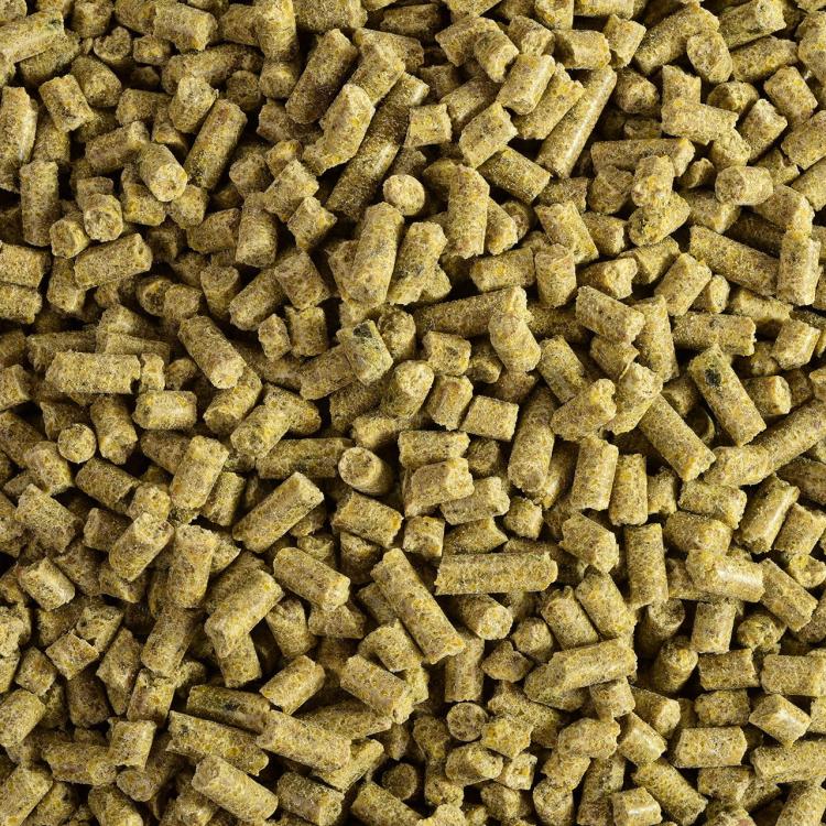 Wagner's Pellets – Wagner's granule pro malé papoušky, lisované za studena, 750 g od ParrotPlanet.cz