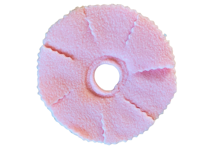 Obojky proti okusování pro papoušky velikost S od ParrotPlanet.cz