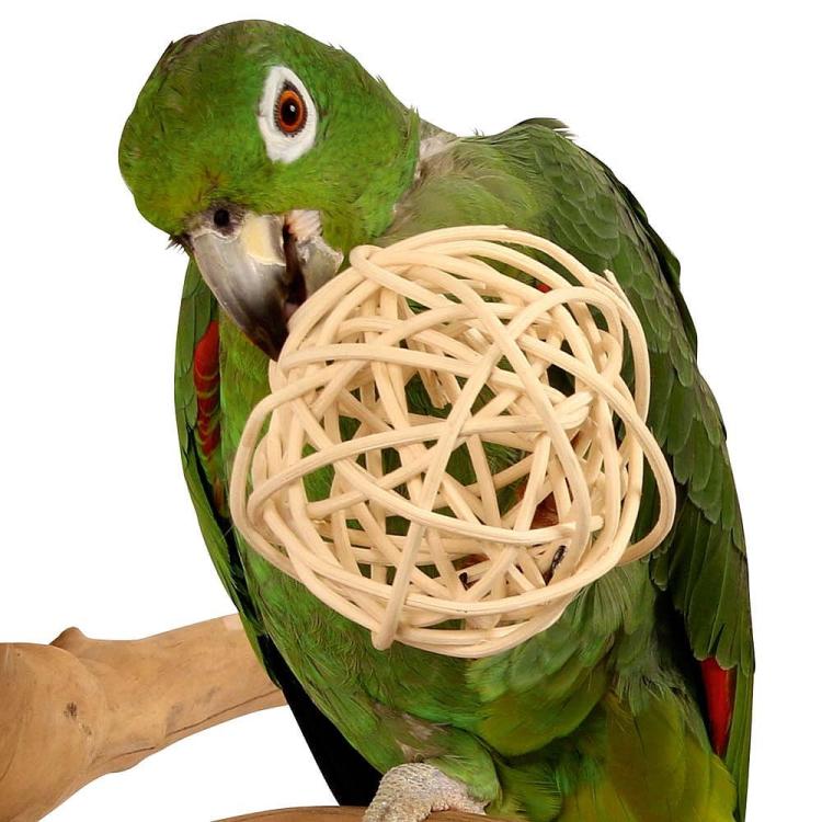 Přírodní proutěný míček Medium – hračka pro tlapky DIY 10 cm od ParrotPlanet.cz