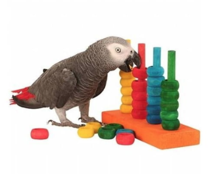 Duhové kruhy DIY – hodí se také jako doplňkové prvky k hračce Magický trik od ParrotPlanet.cz