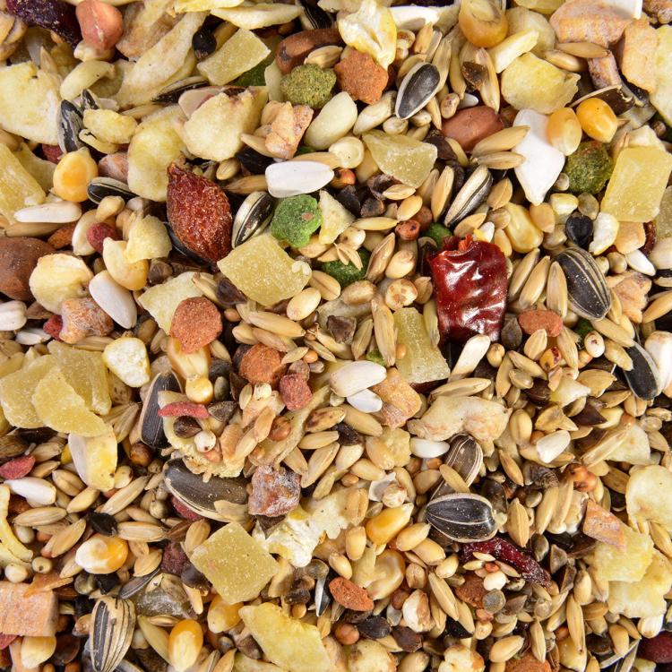 AMAZONA Wagner's - směs pro AMAZONKY 1 kgod ParrotPlanet.cz