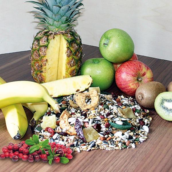 African Grey parrot Wagner's | Krmivo pro papoušky | Směs pro každodenní výživu 0,5 kg od ParrotPlanet.cz