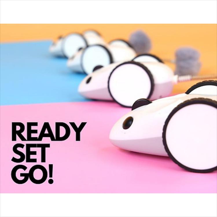 Litter Robot - Mysz Robot - Automatická hračka pro kočky ovládaná telefonem od ParrotPlanet.cz