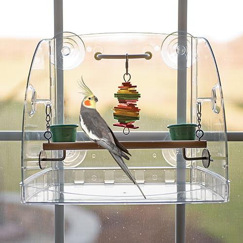 Krmítko s mini hřištěm – pro malé a střední papoušky od ParrotPlanet.cz