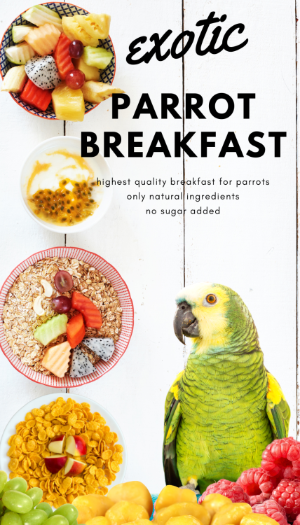 HOT EXOTIC Parrot Breakfast | Papouščí snídaně nebo oběd | Teplé krmivo pro papoušky 150 g od ParrotPlanet.cz