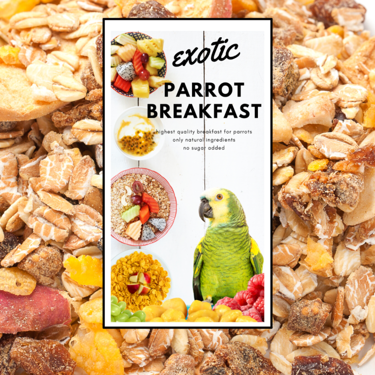 HOT EXOTIC Parrot Breakfast | Papouščí snídaně nebo oběd | Teplé krmivo pro papoušky 150 g od ParrotPlanet.cz