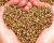 Deli Nature HempSeed – konopná semena pro všechny papoušky 700 g od ParrotPlanet.cz