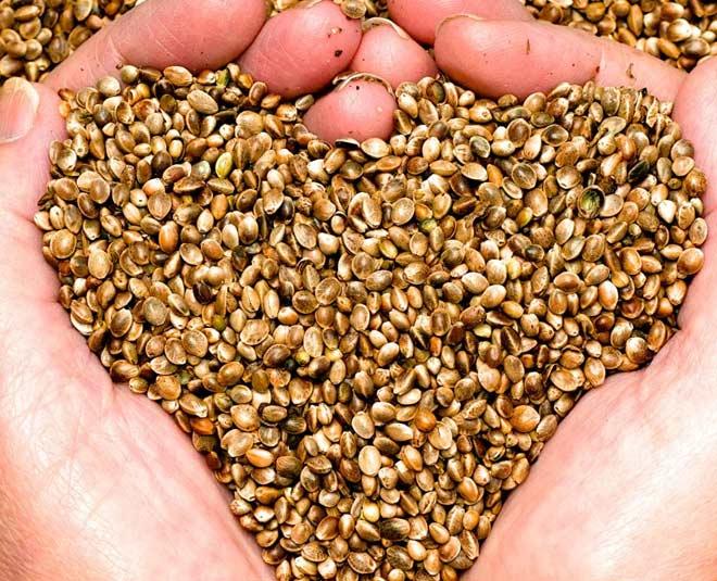 Deli Nature HempSeed – konopná semena pro všechny papoušky 700 g od ParrotPlanet.cz