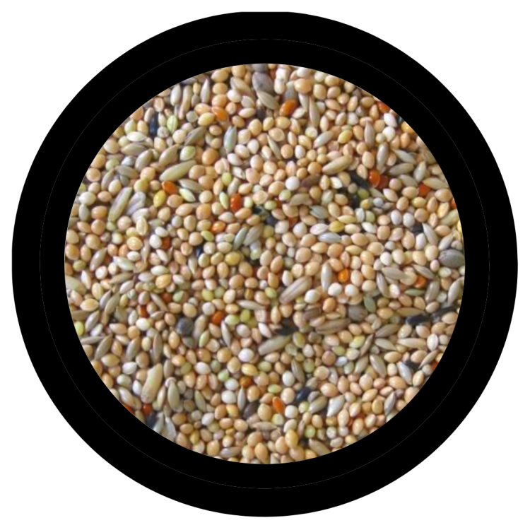 Deli Nature Budgies 1 kg – krmivo pro andulky od ParrotPlanet.cz