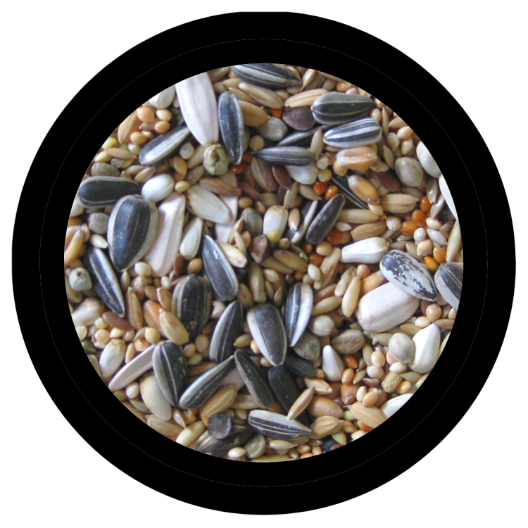 Deli Nature Premium+ Fruit – ovocná směs pro nimfy a další střední papoušky 1 kg od ParrotPlanet.cz