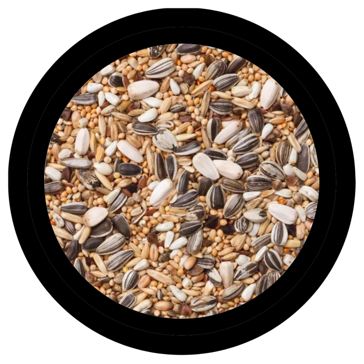 Deli Nature 30 – základní směs pro střední papoušky 20 kg od ParrotPlanet.cz