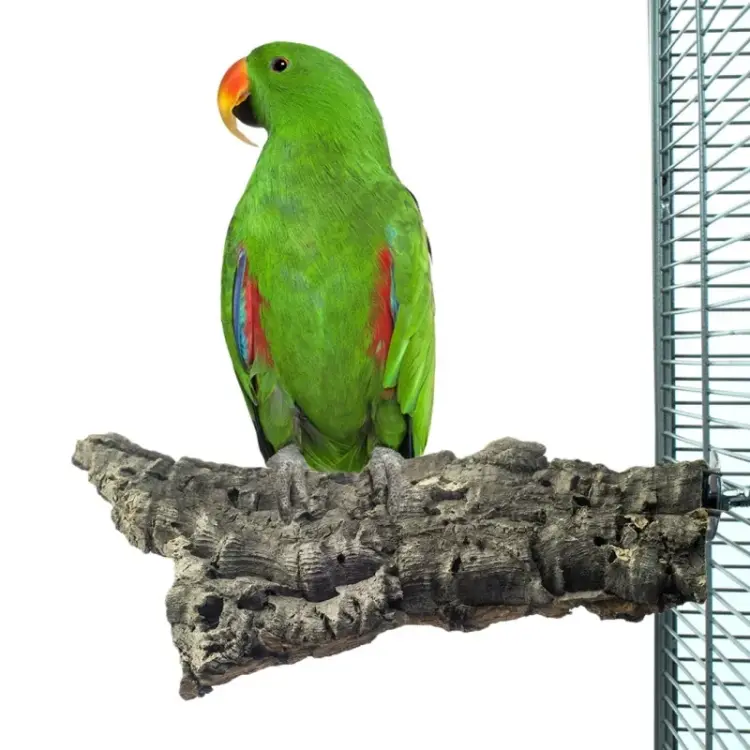 Přírodní tyčinka z kůry korkového dubu L – pro střední a velké papoušky od ParrotPlanet.cz