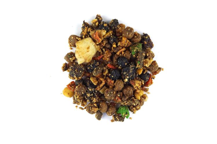 Premium Parrot Food – Sušená divoká meruňka – pro všechny papoušky 100 g od ParrotPlanet.cz
