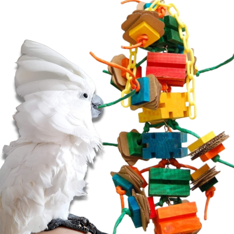 Velká věž rozmanitosti – pro střední a velké papoušky od ParrotPlanet.cz