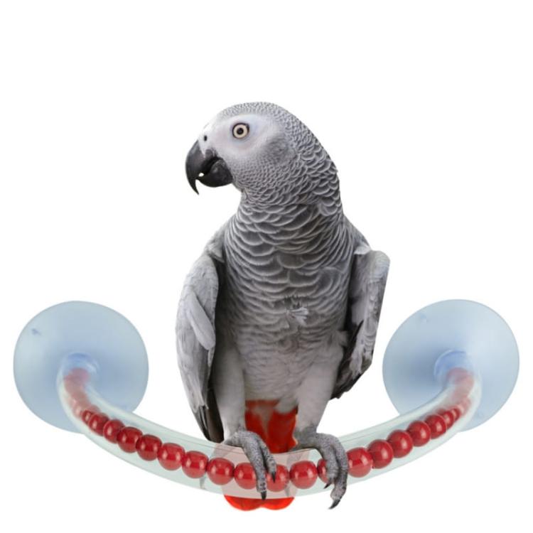 Bidýlko do sprchy L – pro střední a velké papoušky od ParrotPlanet.cz