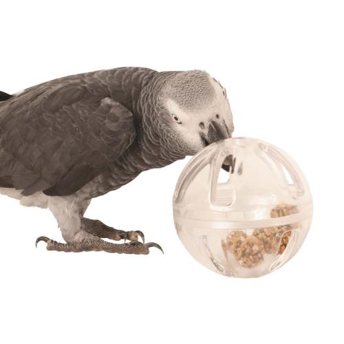 Hračka Bufet v míči pro všechny papoušky od ParrotPlanet.cz