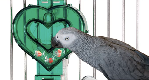 Srdce Krmítko | Interaktivní miska | Kreativní a zajímavá jídla | Krmení pro papoušky od ParrotPlanet.cz