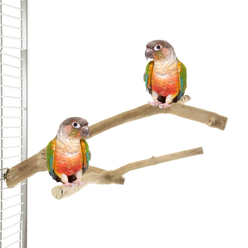 Tyč pro papoušky JAVA - větev M od ParrotPlanet.cz