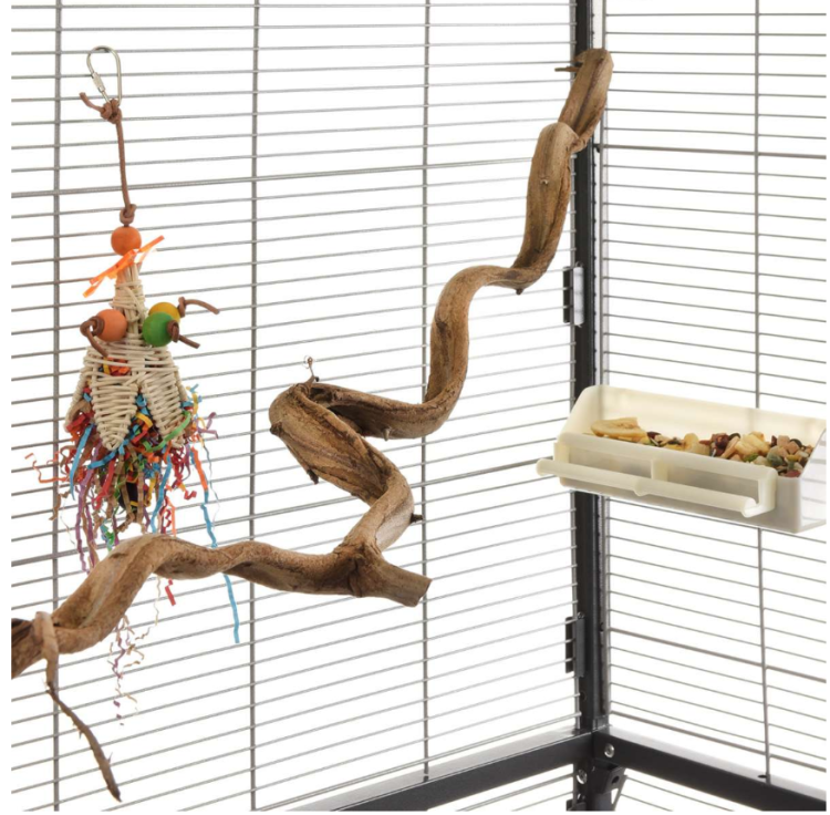 Přírodní liana pro všechny papoušky o délce 100 až 120 cm, průměru 1 až 3 cm, velikost S/M od ParrotPlanet.cz