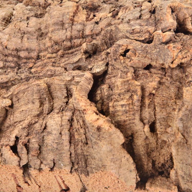 Přírodní tyčinka z kůry korkového dubu, velikost M – pro střední papoušky od ParrotPlanet.cz