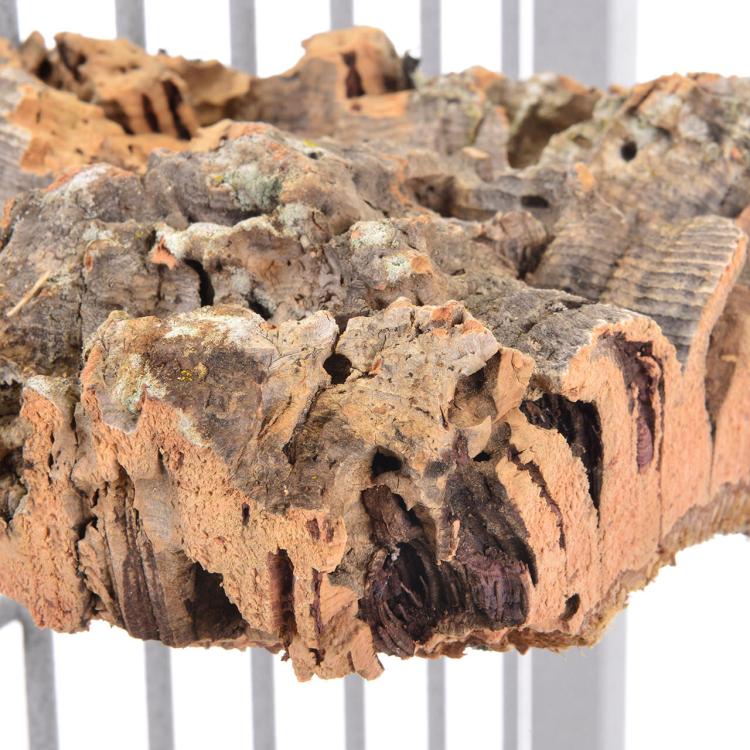 Přírodní tyč z kůry korkového dubu – velikost S pro malé a střední papoušky od ParrotPlanet.cz