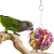 Míč na klování M – pro střední papoušky od ParrotPlanet.cz