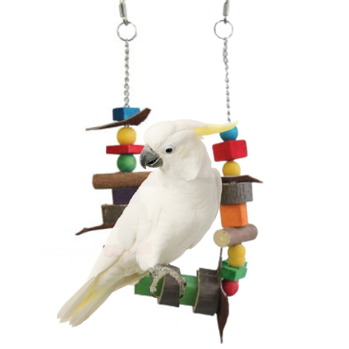 Dvojité zavěšení – dřevěná hračka pro větší a střední papoušky od ParrotPlanet.cz