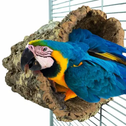 Přírodní bidélko nebo jeskyně z korkové kůry dubu, velikost L – pro velké a střední papoušky od ParrotPlanet.cz