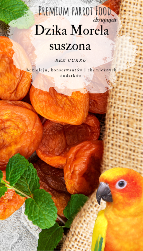 Premium Parrot Food – Sušená divoká meruňka – pro všechny papoušky 100 g od ParrotPlanet.cz