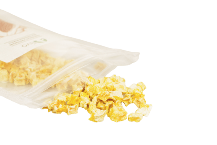 Křupavá papája – celý lyofilizovaný plod 20 g od ParrotPlanet.cz