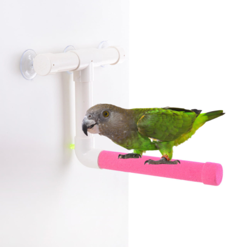 Tyč do sprchy M pro střední papoušky od ParrotPlanet.cz