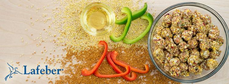 Lafeber NutriBerries El Paso – Pikantní krmivo se zeleninou ve tvaru kuliček pro velké a střední papoušky 284 g od ParrotPlanet.cz