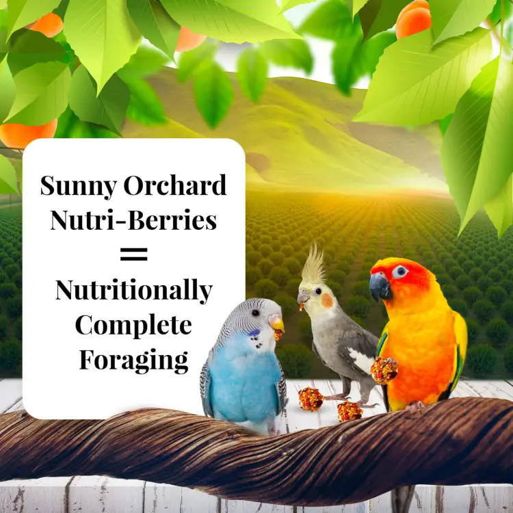 Lafeber Nutri-Berries Sunny Orchard – kompletní ovocné krmivo pro malé a střední papoušky, 284 g od ParrotPlanet.cz