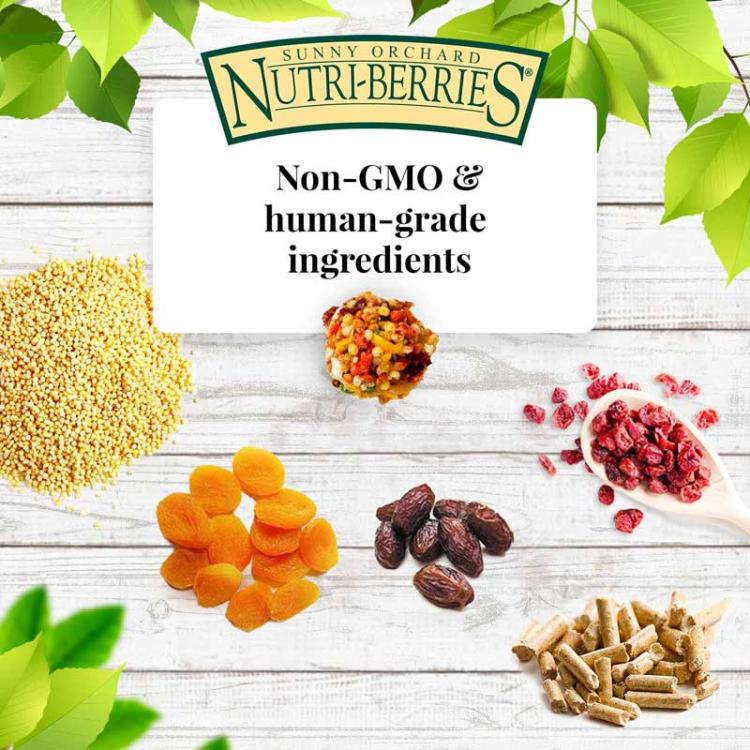 Lafeber Nutri-Berries Sunny Orchard – kompletní ovocné krmivo pro malé a střední papoušky, 284 g od ParrotPlanet.cz