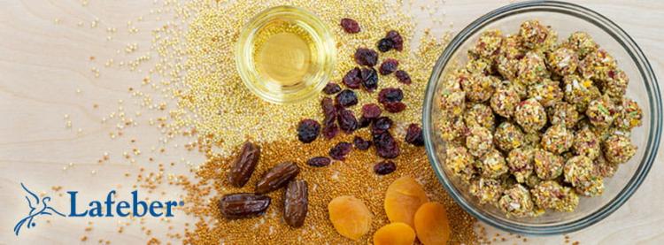 Lafeber Nutri-Berries Sunny Orchard – kompletní ovocné krmivo pro malé a střední papoušky, 284 g od ParrotPlanet.cz