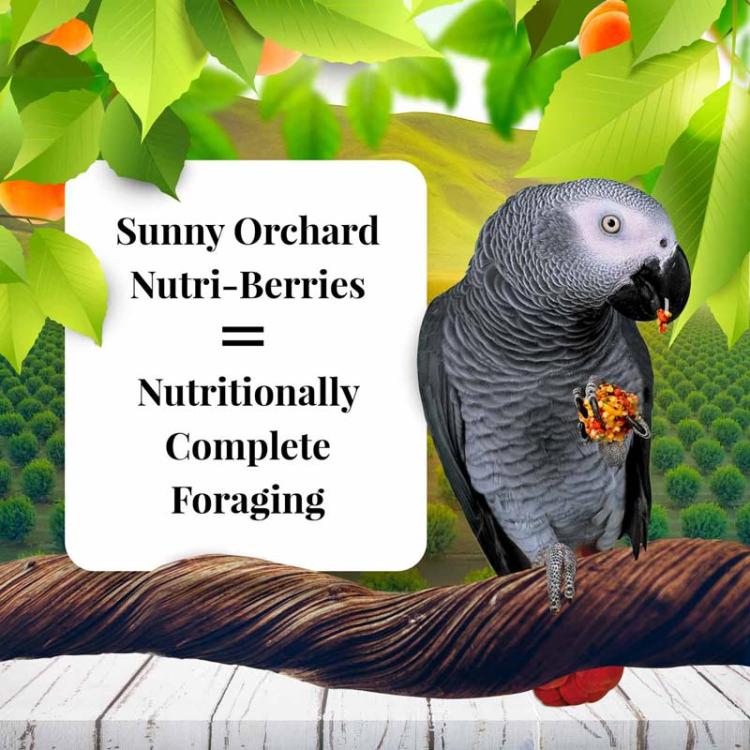 Lafeber NutriBerries Sunny Orchard – Krmivo: zrní s ovocem ze sadu ve tvaru kuliček pro střední a velké papoušky 284 g od ParrotPlanet.cz