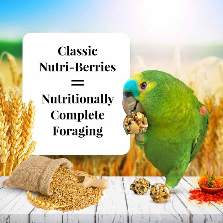 Lafeber NutriBerries Original Classic – Krmivo ve tvaru kuliček pro střední a velké papoušky 284 g od ParrotPlanet.cz