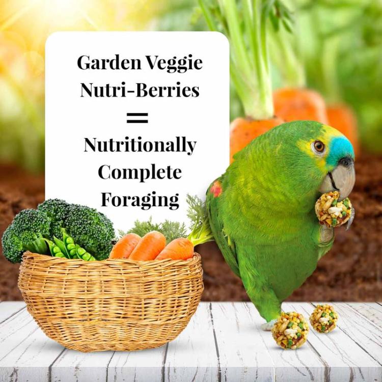 Lafeber Nutri-Berries Garden Veggie – kompletní zeleninové krmivo pro střední a velké papoušky, 284 g od ParrotPlanet.cz